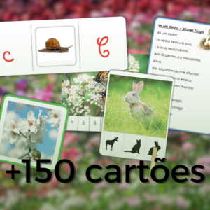 Conjunto +150 cartões e atividades Montessori de Primavera