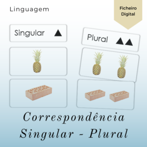 Cartões Singular e Plural