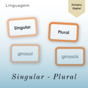 Estúdio da Palavra - Cartões Singular e Plural